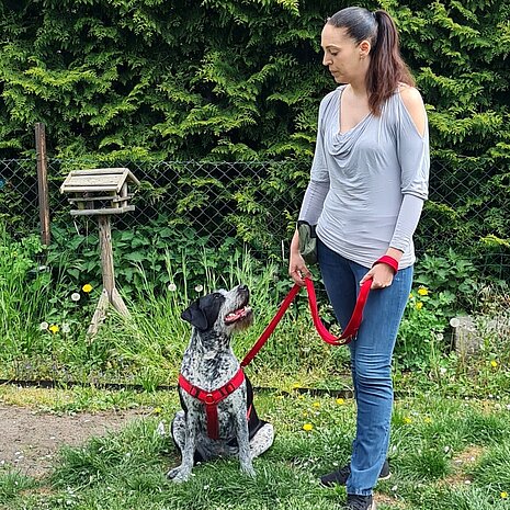 Dieser Hund orientiert sich bei auf dem Boden liegenden Futter bereits um. Methode: „Zeig mir, was du gefunden hast!“.