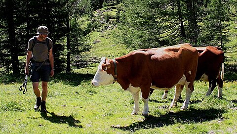 Wanderer auf der Alm