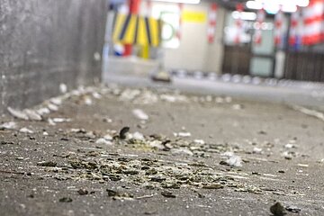 Sobald die Vögel ihr Zuhause angenommen haben, gibt es auch weniger Kot im Parkhaus. 