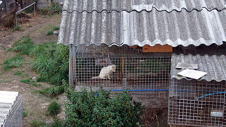 Pelztierfarm