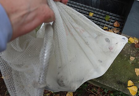 Im Keschernetz ging es zurück ans Tageslicht. Im Keschernetz ging es mit Theo zurück ans Tageslicht.