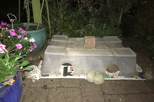 Selbstgebautes Igel-Futterhaus