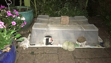 Selbstgebautes Igel-Futterhaus