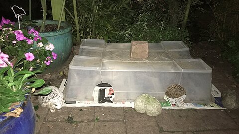 Selbstgebautes Igel-Futterhaus