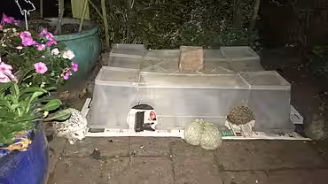 Selbstgebautes Igel-Futterhaus