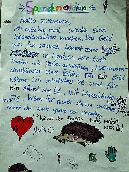 Marlas Aufruf zur Spendenaktion.