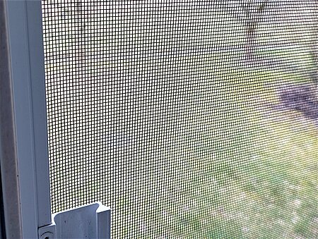 Fliegengitter vor dem Fenster