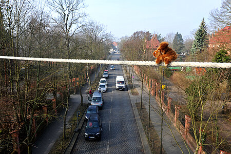 Plüsch-Hörnchen.