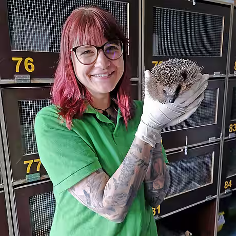 Anne Flieger aus dem Igelzentrum Laatzen Foto von Anne Flieger aus dem Igelzentrum Laatzen