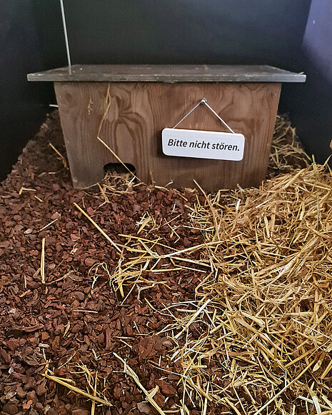 Ein Igelhaus im Gehege mit einem Schild, auf dem "Bitte nicht stören" steht