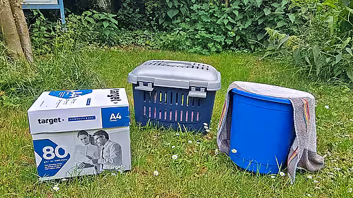 Auf einer Wiese stehen ein Karton, eine Tramsportbox und ein Eimer.