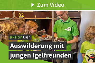 Auswilderung mit jungen Igelfreunden (aktion tier Igelzentrum Niedersachsen)