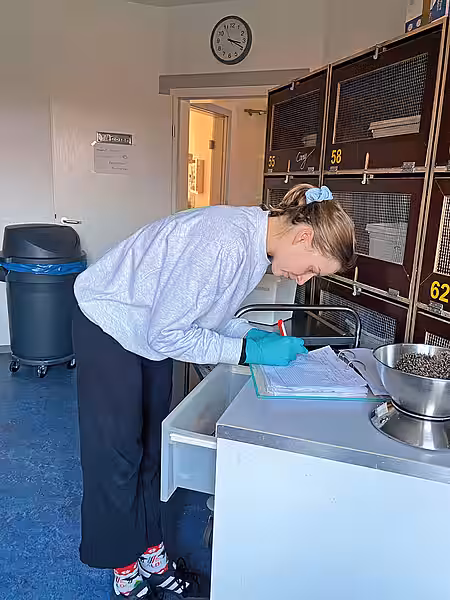 Jana trägt etwas ins Igel-Protokoll ein