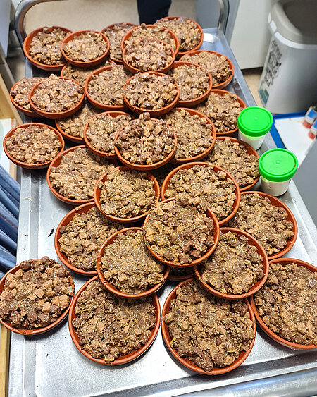 Das Futter für unsere Igel.
