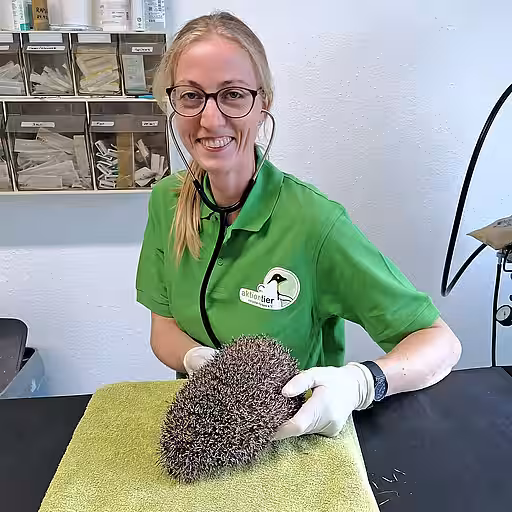 Foto von Karolin Schütte aus dem Igelzentrum Laatzen