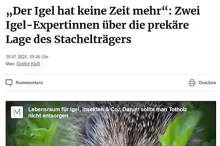 Presseartikel zum Thema „Der Igel hat keine Zeit mehr.“, Merkur, 30.07