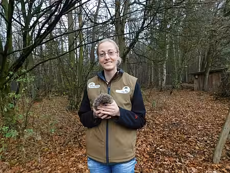 Karolin Schütte Karolin Schütte