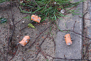 Mit Nägeln gespickte Wurststückchen. Foto: ©aktion tier, Ursula Bauer