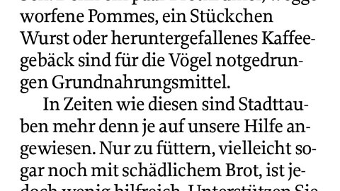 Stadttauben brauchen Hilfe – Mittelbayrische
