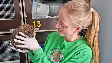 Team des Igelzentrums in Hannover Laatzen