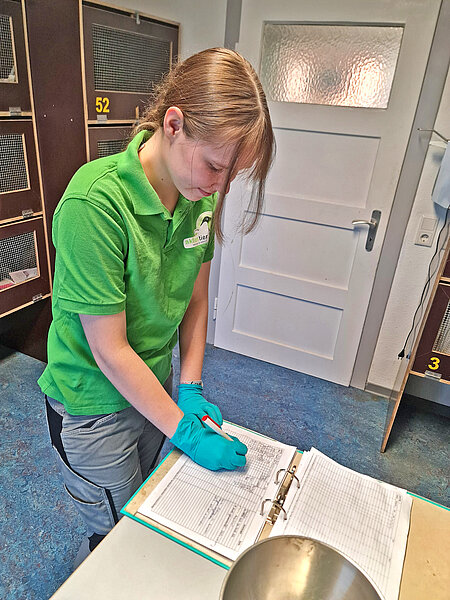 Alles, was die Igelpatienten betrifft, wird sorgfältig protokolliert. Eine Frau in grünem Shirt steht an einem Tisch und füllt ein Protokoll in einem Ordner aus.