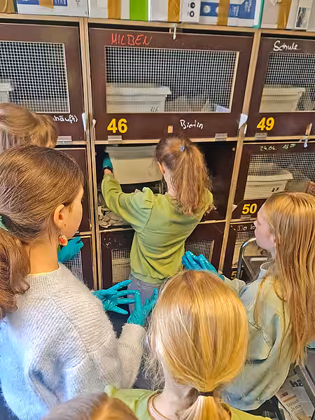 Die Kinder stehen vor den Igelboxen. Ein Kind hebt ein Häuschen in die Box.