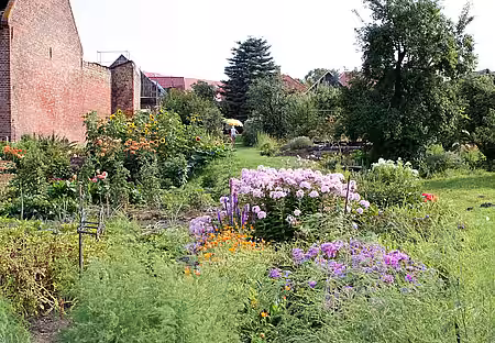 Ein naturnaher Garten mit Büschen und Blumen