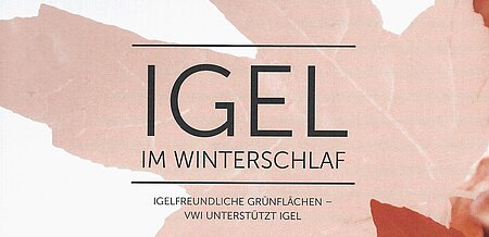 Februar 2020 | VW-Immobilien | Igel im Winterschlaf