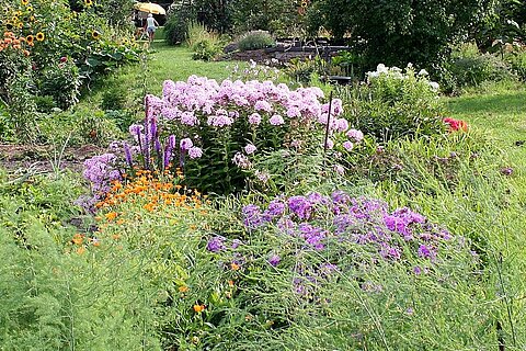 In einem naturnahen Garten fühlen sich Tiere wie Insekten und Vögel wohl und finden, was sie zum Leben brauchen.
