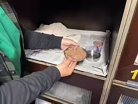 Futter und Wasser wurden natürlich bereitgestellt Futter und Wasser wurden natürlich bereitgestellt