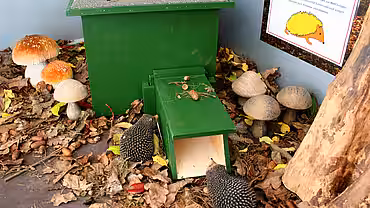 Modell eines Igelhauses