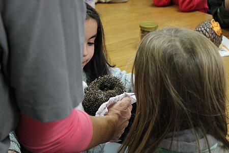 Tierschutzunterricht Igel