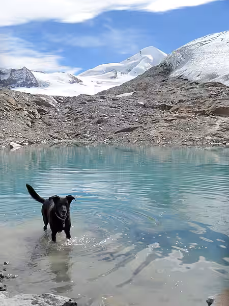 Der Rückruf aus besonders schönen Situationen muss lange geübt und hochwertig belohnt werden.