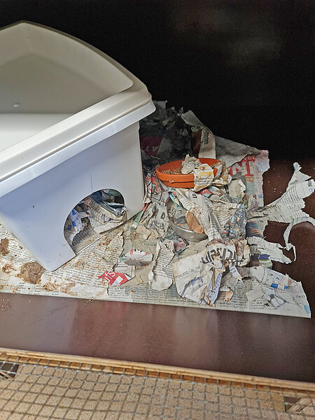 Manche Igelboxen sehen schlimmer aus als andere. Eine dreckige Stationsbox eines Igels mit Zeitungspapier, Häuschen und Näpfen.