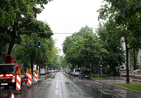 Das aktion tier – Eichhörnchenseil überspannt die Dantestraße in München in einer Höhe von ca. 7m. 