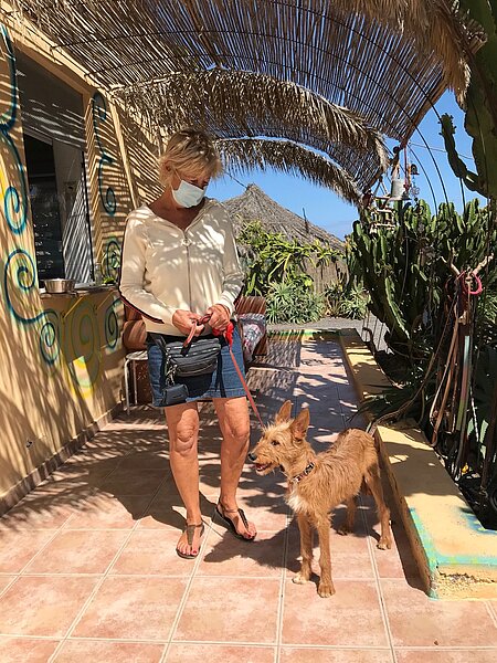 Hundespaziergagg im Tierheim Acción del Sol auf Teneriffa, Spanien