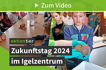 Zukunftstag im Igelzentrum 2024 