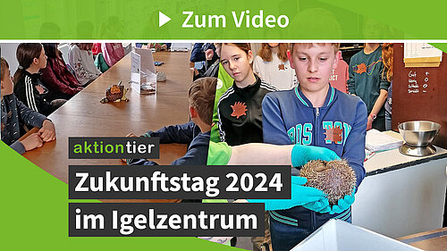 Zukunftstag im Igelzentrum 2024 